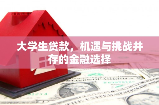 商都大学生贷款，机遇与挑战并存的金融选择