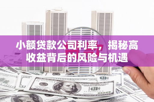 商都小额贷款公司利率，揭秘高收益背后的风险与机遇
