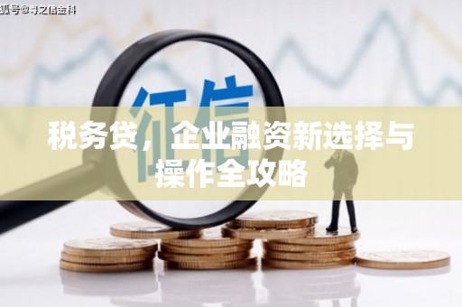 商都税务贷，企业融资新选择与操作全攻略