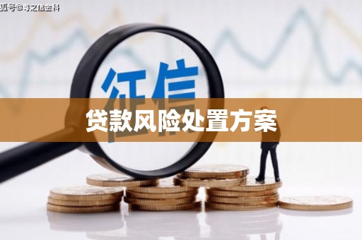 商都贷款风险处置方案