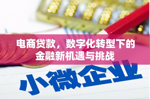 商都电商贷款，数字化转型下的金融新机遇与挑战