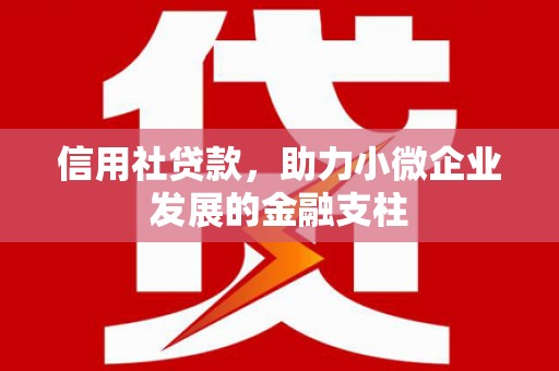 商都信用社贷款，助力小微企业发展的金融支柱