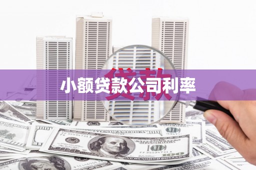商都小额贷款公司利率