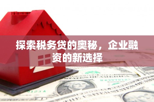 商都探索税务贷的奥秘，企业融资的新选择