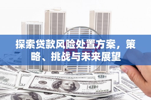 商都探索贷款风险处置方案，策略、挑战与未来展望