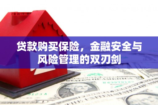 商都贷款购买保险，金融安全与风险管理的双刃剑