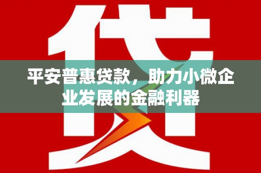 商都平安普惠贷款，助力小微企业发展的金融利器