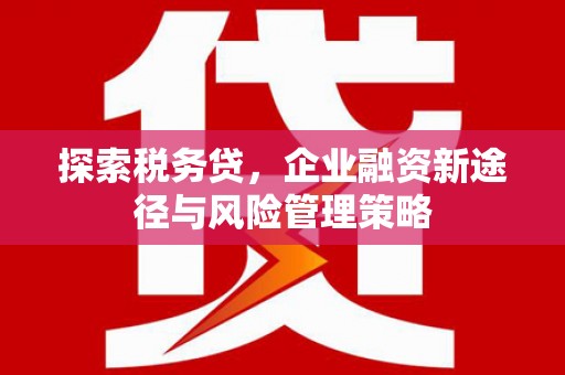 商都探索税务贷，企业融资新途径与风险管理策略