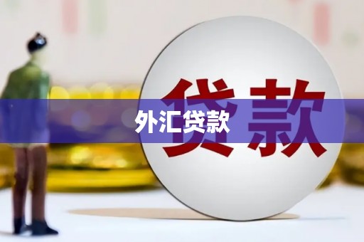 商都外汇贷款