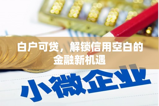 商都白户可贷，解锁信用空白的金融新机遇