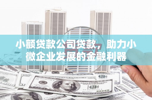 商都小额贷款公司贷款，助力小微企业发展的金融利器