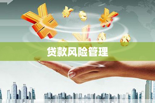 商都贷款风险管理