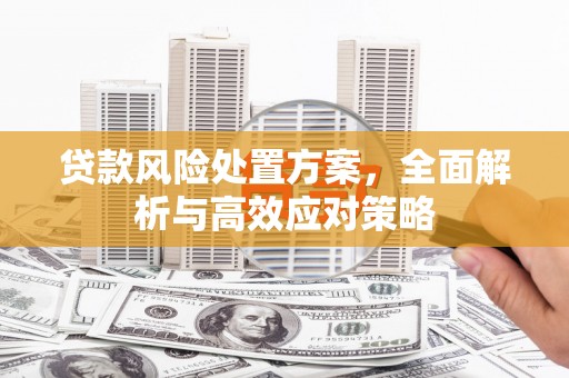商都贷款风险处置方案，全面解析与高效应对策略