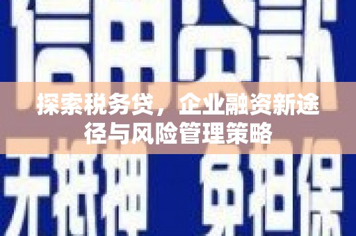 商都探索税务贷，企业融资新途径与风险管理策略