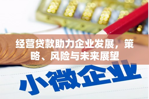 商都经营贷款助力企业发展，策略、风险与未来展望