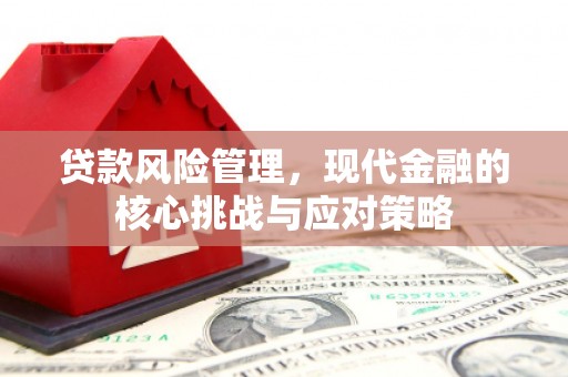 商都贷款风险管理，现代金融的核心挑战与应对策略