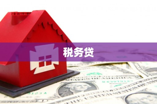 商都税务贷