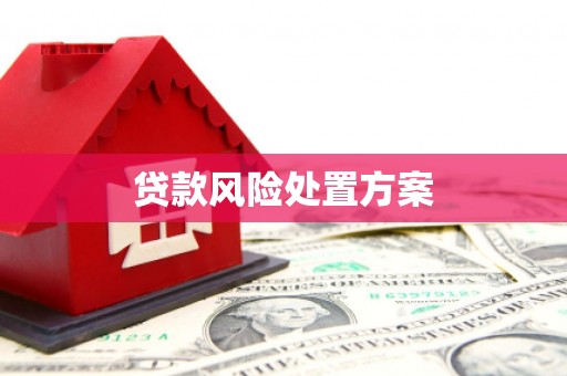 商都贷款风险处置方案