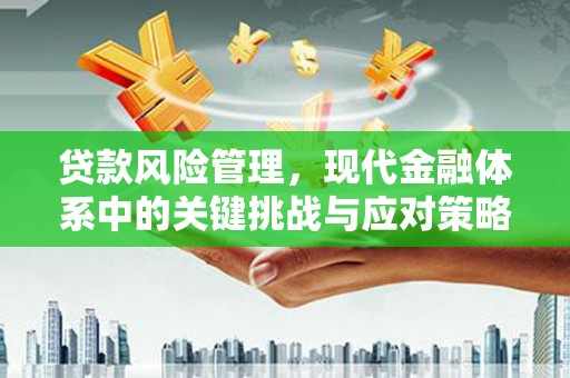 商都贷款风险管理，现代金融体系中的关键挑战与应对策略