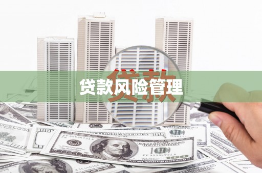 商都贷款风险管理