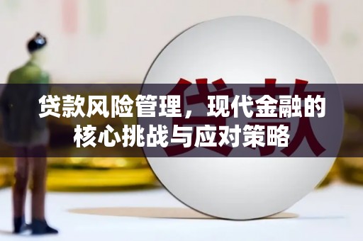 商都贷款风险管理，现代金融的核心挑战与应对策略