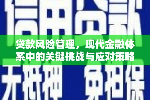 商都贷款风险管理，现代金融体系中的关键挑战与应对策略