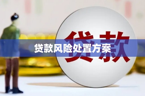 商都贷款风险处置方案