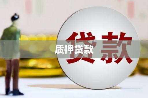 商都质押贷款